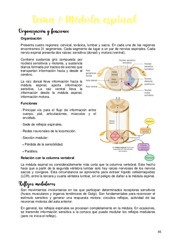 Miniatura del documento Tema-7.pdf