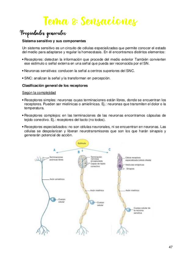 Miniatura del documento Tema-8.pdf