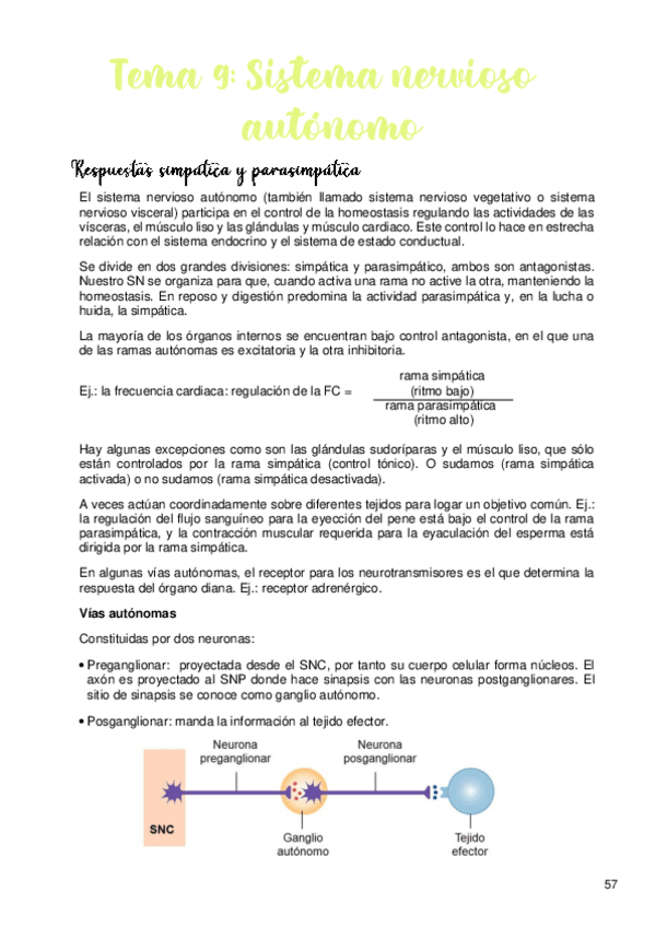 Miniatura del documento Tema-9.pdf