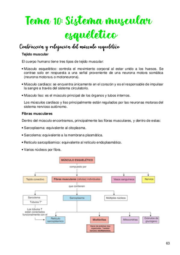 Miniatura del documento Tema-10.pdf