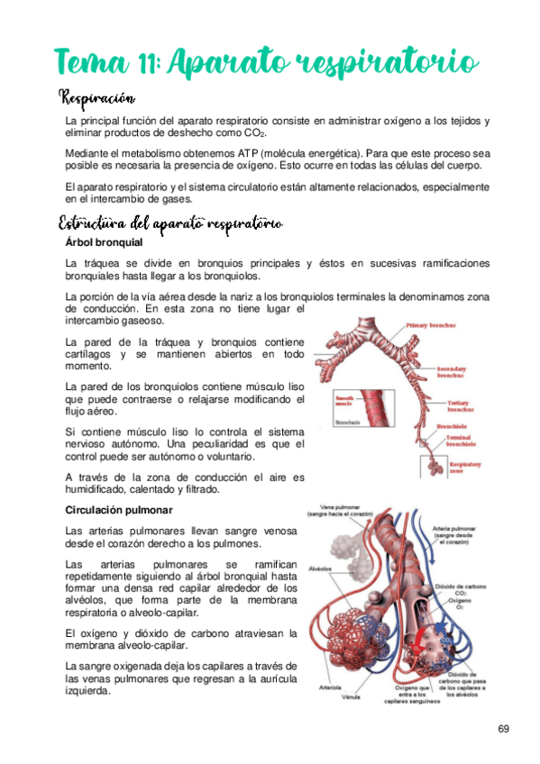 Miniatura del documento Tema-11.pdf