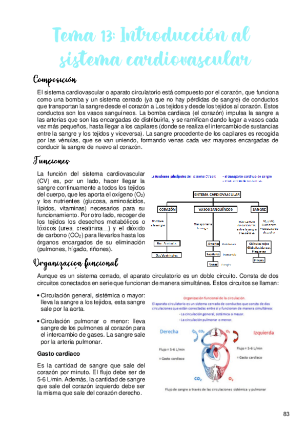 Miniatura del documento Tema-13.pdf