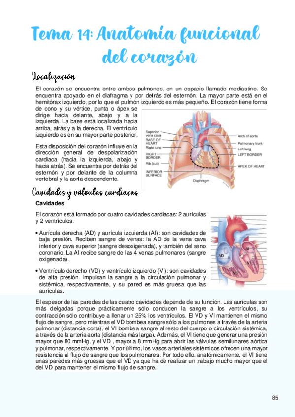 Miniatura del documento Tema-14.pdf