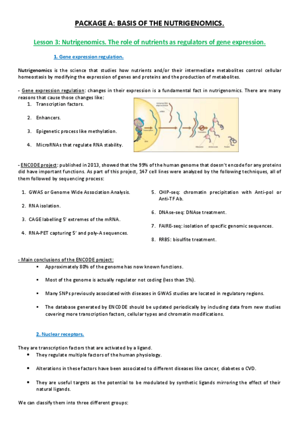 Miniatura del documento Lesson 3.pdf