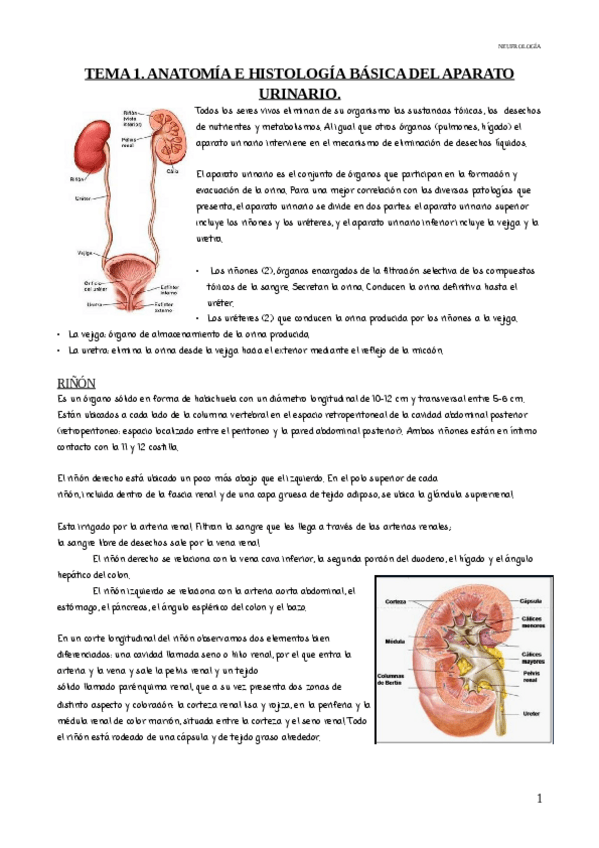 Miniatura del documento ilovepdfmerged-2.pdf