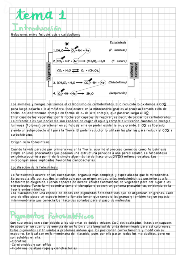 Miniatura del documento Presentacion.pdf