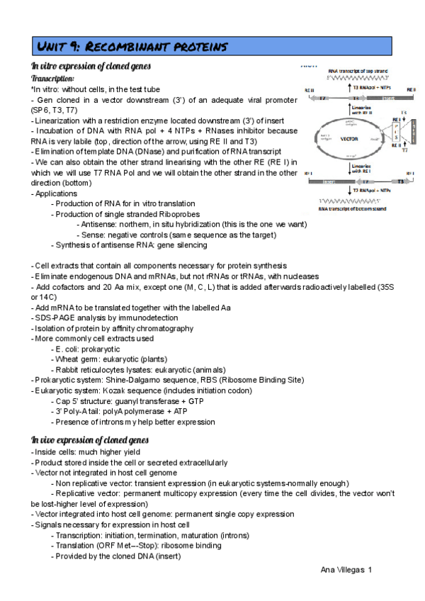 Miniatura del documento UNIT-9.pdf