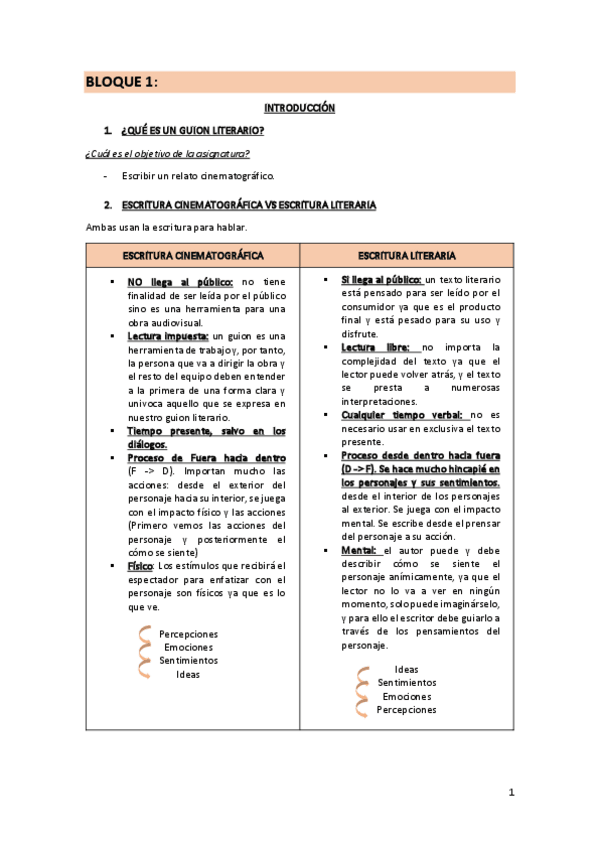 Miniatura del documento GUION-AUDIOVISUAL.pdf
