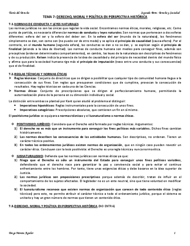 Miniatura del documento Teoría del Derecho Tema7.pdf
