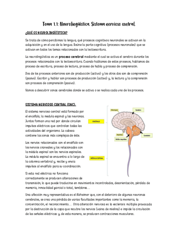 Miniatura del documento Tema-1.1.pdf