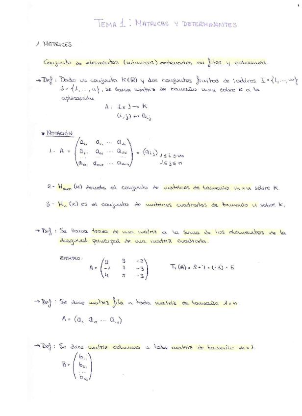 Miniatura del documento Teoría y ejercicios.pdf
