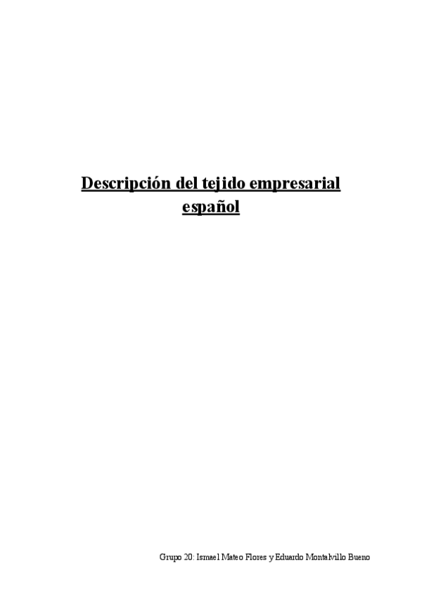 Miniatura del documento Descripcion-del-tejido-empresarial-espanol.pdf