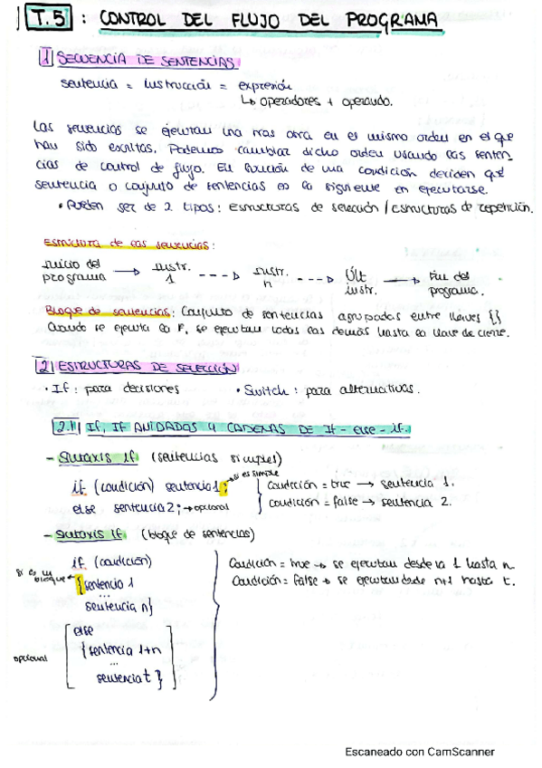 Miniatura del documento T5, control del flujo del programa.pdf