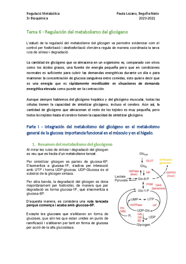 Miniatura del documento Tema-6-Regulacio-del-metabolisme-del-glicogen.pdf