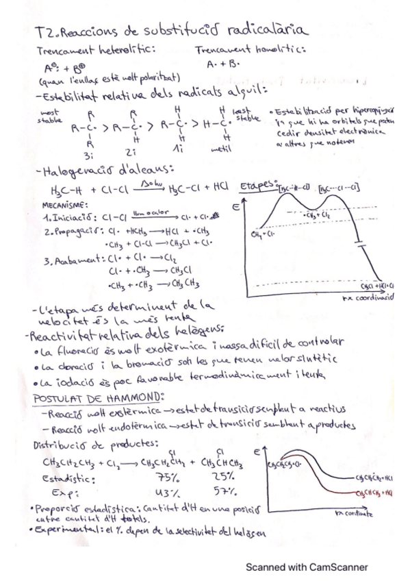 Miniatura del documento ERCO-T-2.pdf