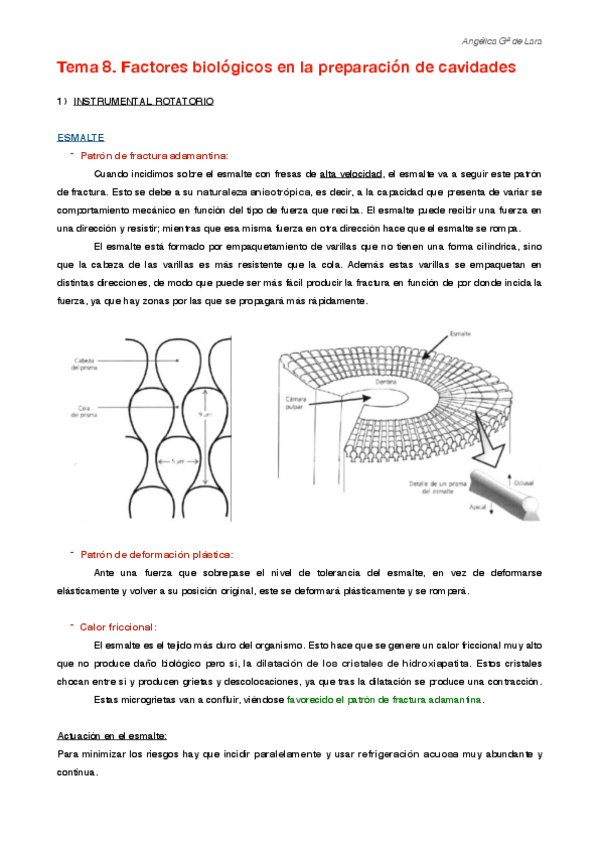 Miniatura del documento Tema 8.pdf
