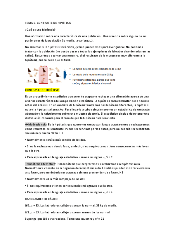 Miniatura del documento TEMA-6.pdf