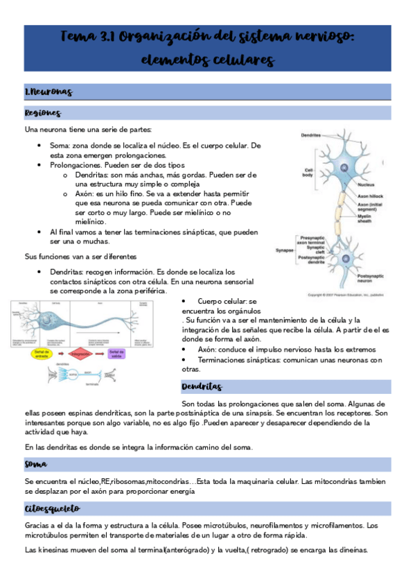 Miniatura del documento Tema-3.pdf