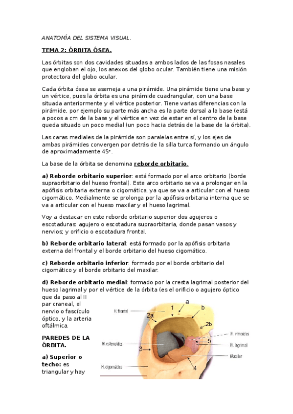 Miniatura del documento TEMA 2- ORBITA OSEA.docx