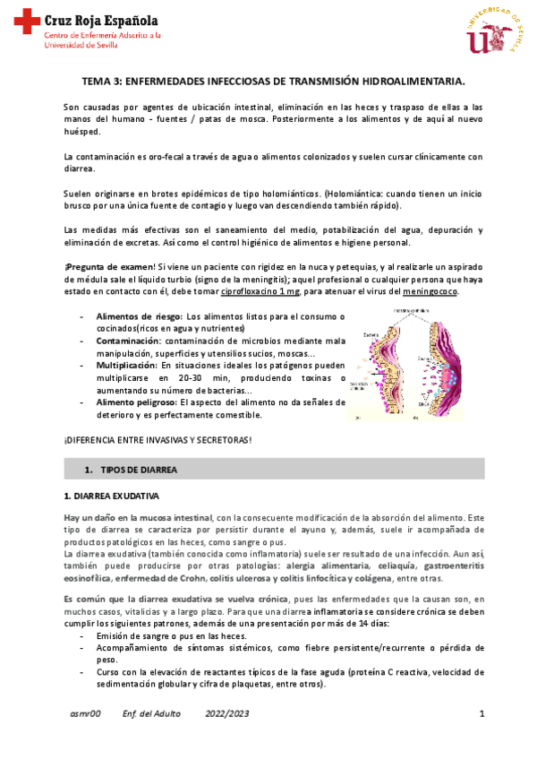 Miniatura del documento Tema-3-Adulto.pdf