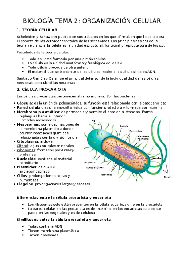 Miniatura del documento BIOLOGIA-TEMA-2.docx