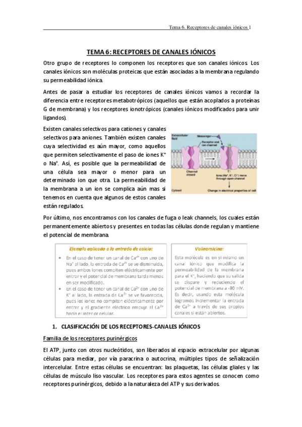Miniatura del documento TEMA-6.pdf
