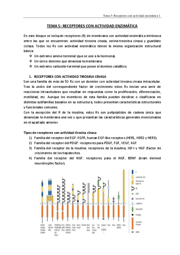 Miniatura del documento TEMA-5.pdf