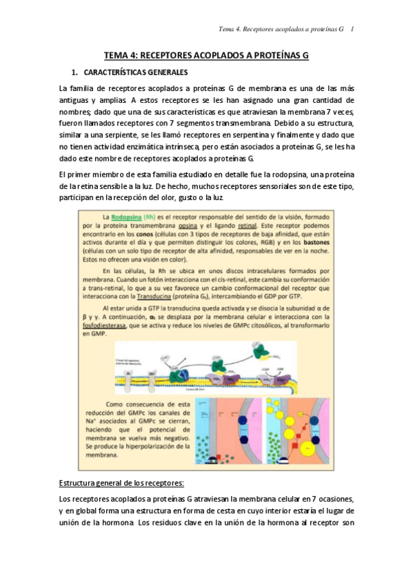 Miniatura del documento TEMA-4.pdf