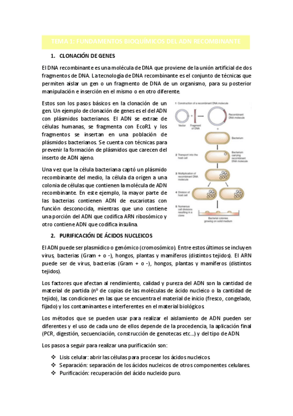 Miniatura del documento TEMA-2.pdf