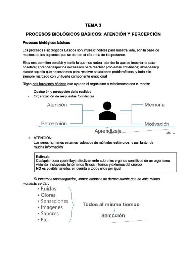 Miniatura del documento PSICOSOCIALES-TEMA-3.pdf