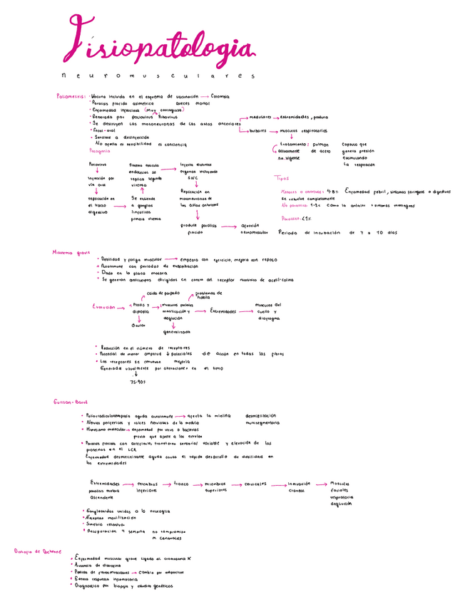 Miniatura del documento Fisiologia-neuromuscular.pdf