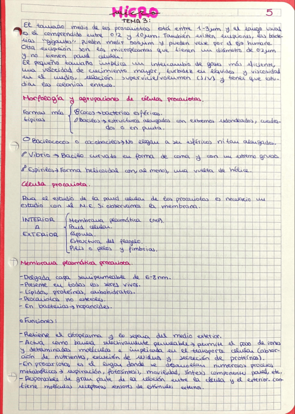 Miniatura del documento Micro-tema-3.pdf