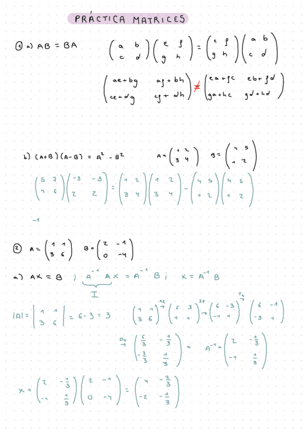Miniatura del documento FICHA-2-EJERCICIOS-MATRICES-RESUELTOS.pdf