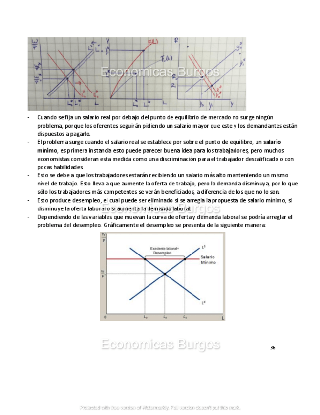 Miniatura del documento Introduccion-a-la-Macroeconomia-36.pdf