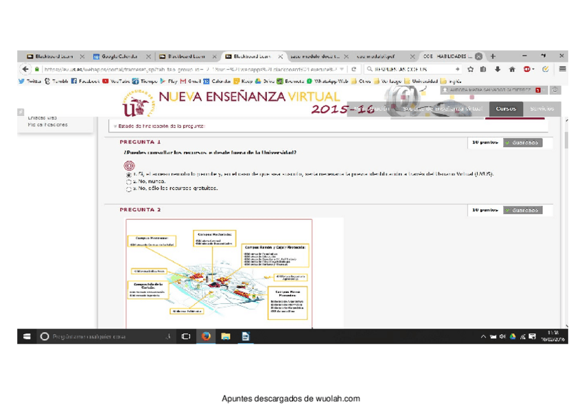 Miniatura del documento COE_EMPRESA.pdf
