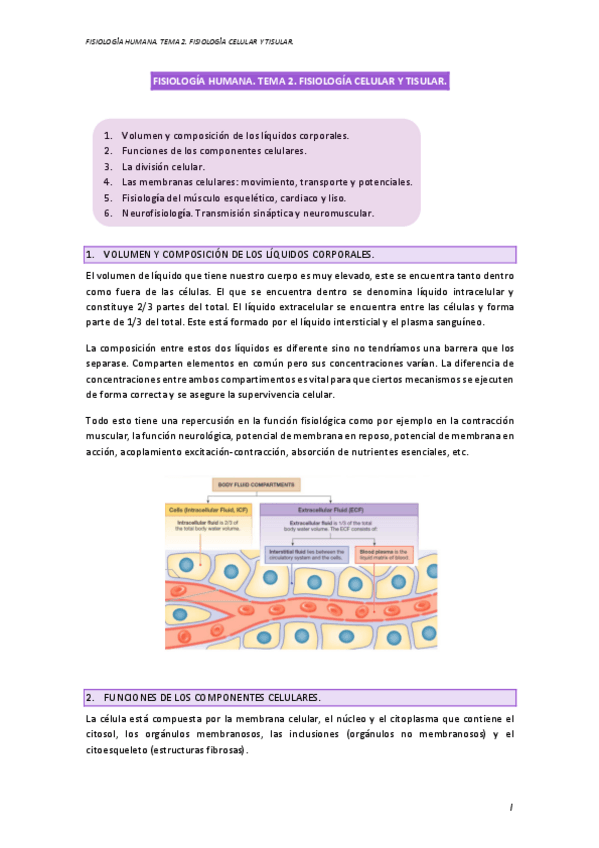 Miniatura del documento Fisio.pdf