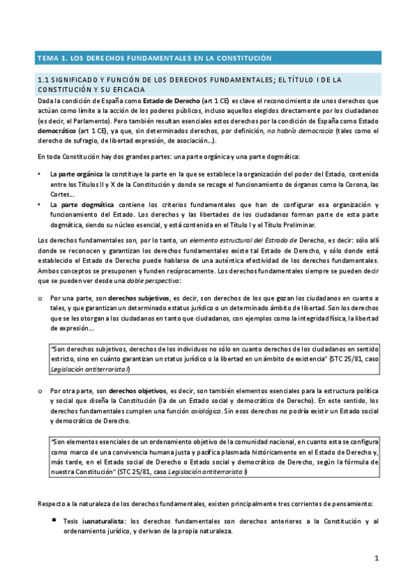 Miniatura del documento Derecho-Constitucional-.pdf