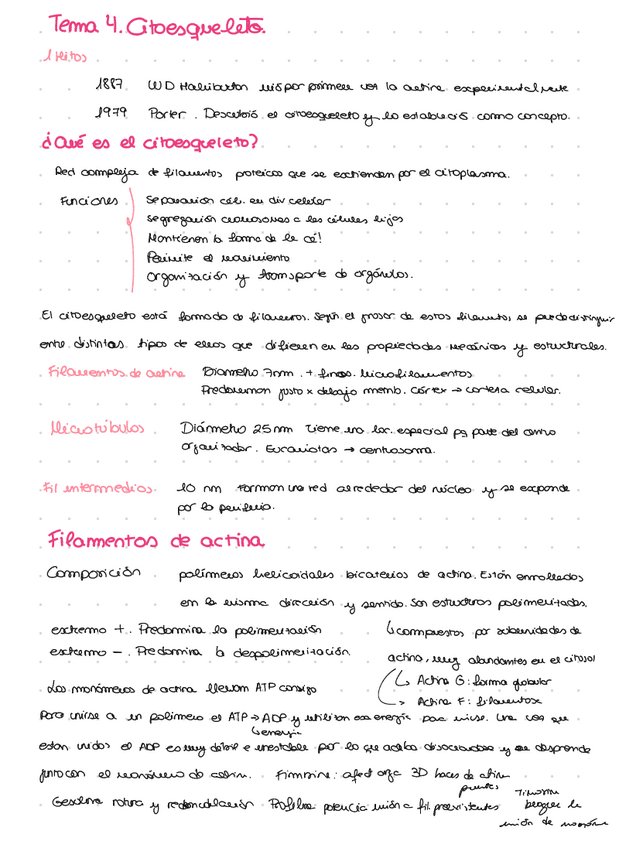 Miniatura del documento Tema-4.pdf