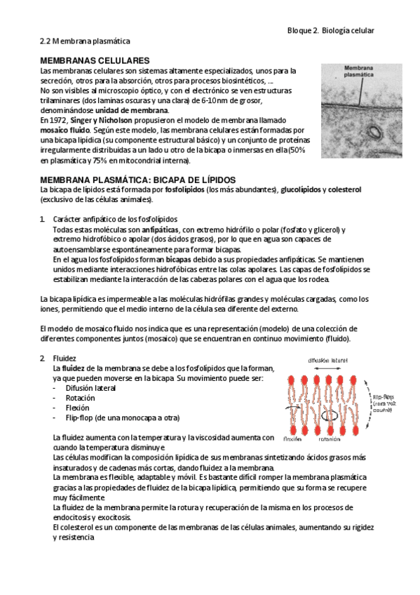 Miniatura del documento 2.2 Membrana plasmática