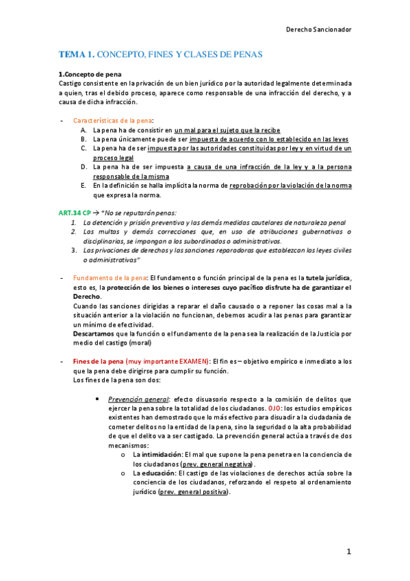 Miniatura del documento Apuntes-Sancionador.pdf