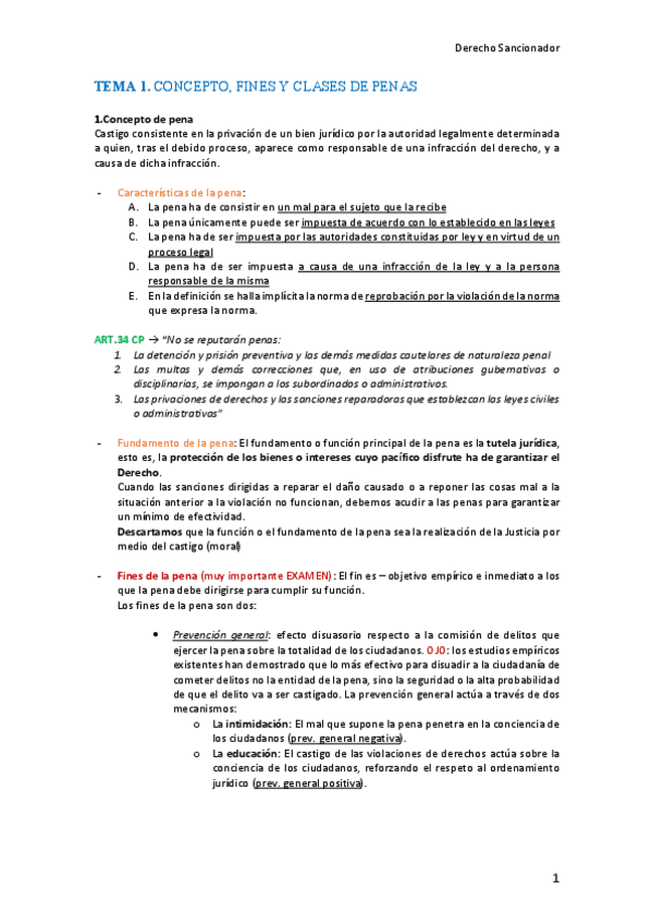 Miniatura del documento Apuntes-Sancionador-2.pdf