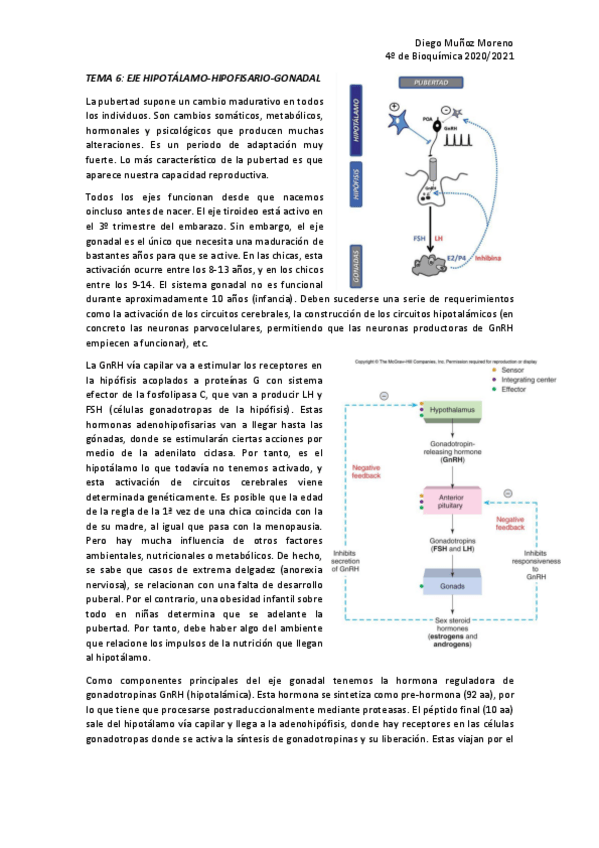 Miniatura del documento TEMA-6-ENDO.pdf