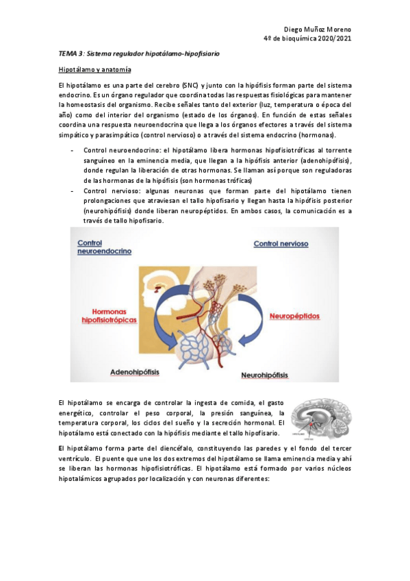 Miniatura del documento TEMA-3-ENDO.pdf