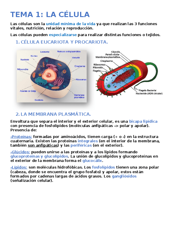 Miniatura del documento TEMA-1.docx