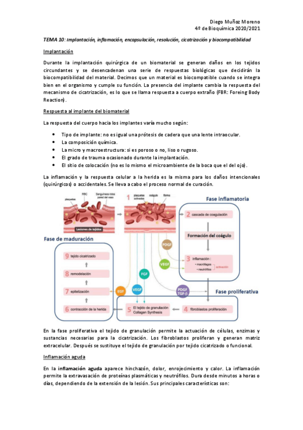 Miniatura del documento TEMA-10.pdf