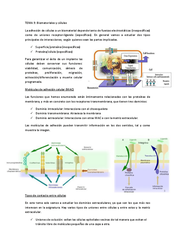 Miniatura del documento TEMA-9.pdf