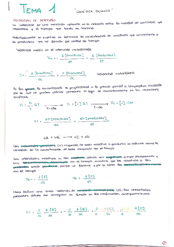 Miniatura del documento TEMA-1-APUNTES.pdf