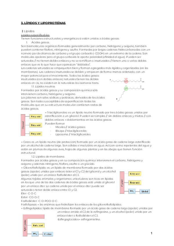 Miniatura del documento 3.pdf