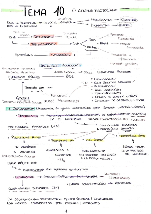 Miniatura del documento TEMA-10-RESUMIDO.pdf