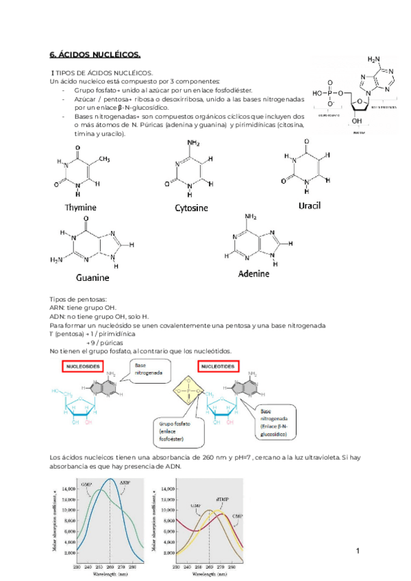 Miniatura del documento 6.pdf